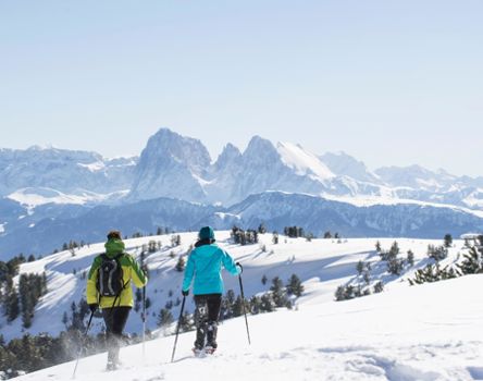 Two snowshoe hikers enjoy the winter view